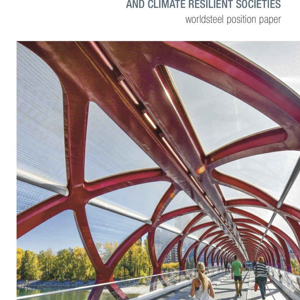 Steel's Contribution to a Low Carbon Future and Climate Resilient Societies